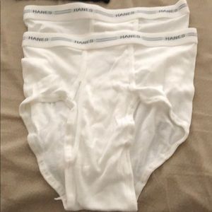 Hanes brief